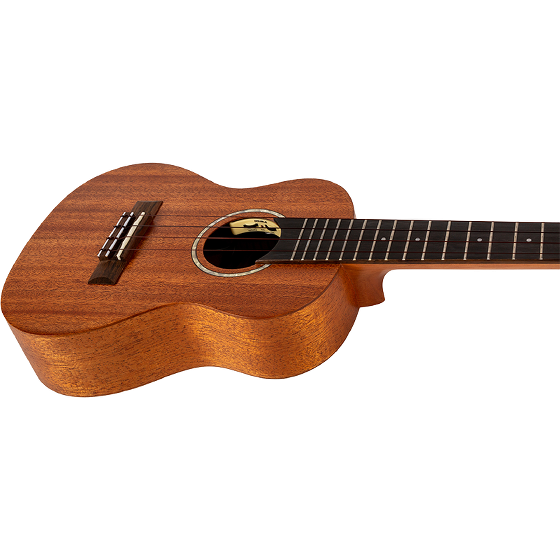 Flight ANT CEQ Antonia Concert Electro Ukulele