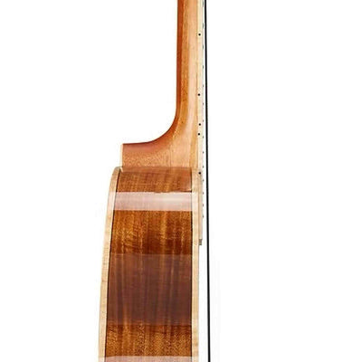TOM M9E Tenor Ukelele met Massief Acacia en Pickup met effecten Inclusief Koffer